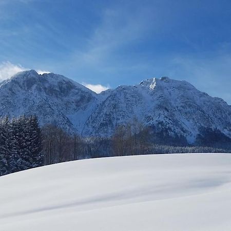 'Dasbergblick' Altaussee Esterno foto
