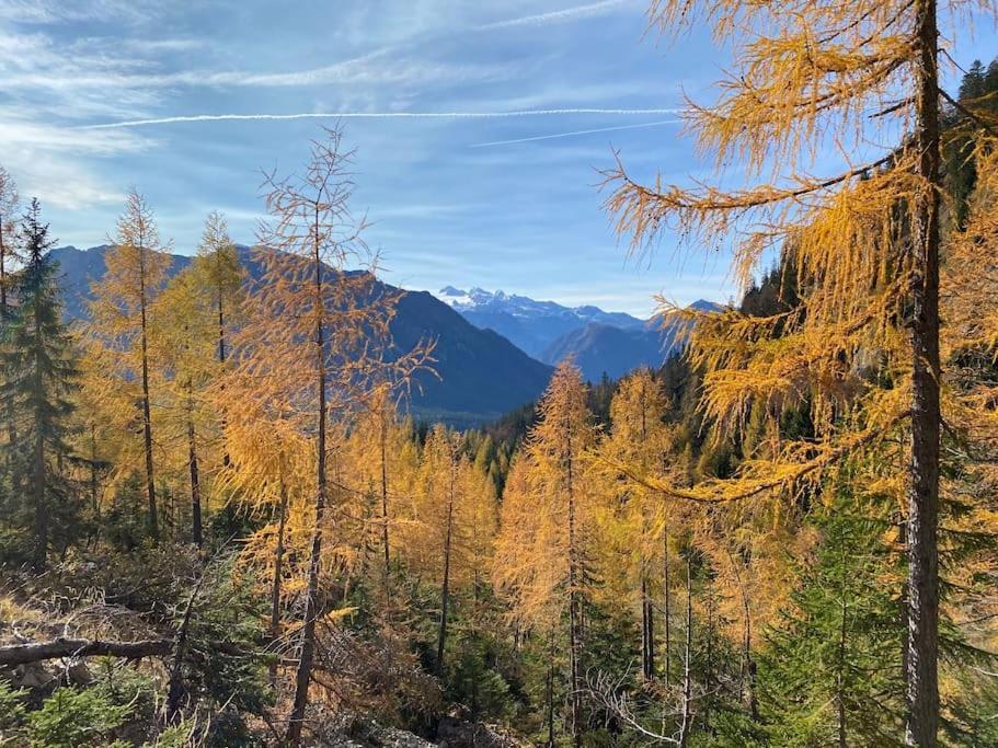 'Dasbergblick' Altaussee Esterno foto